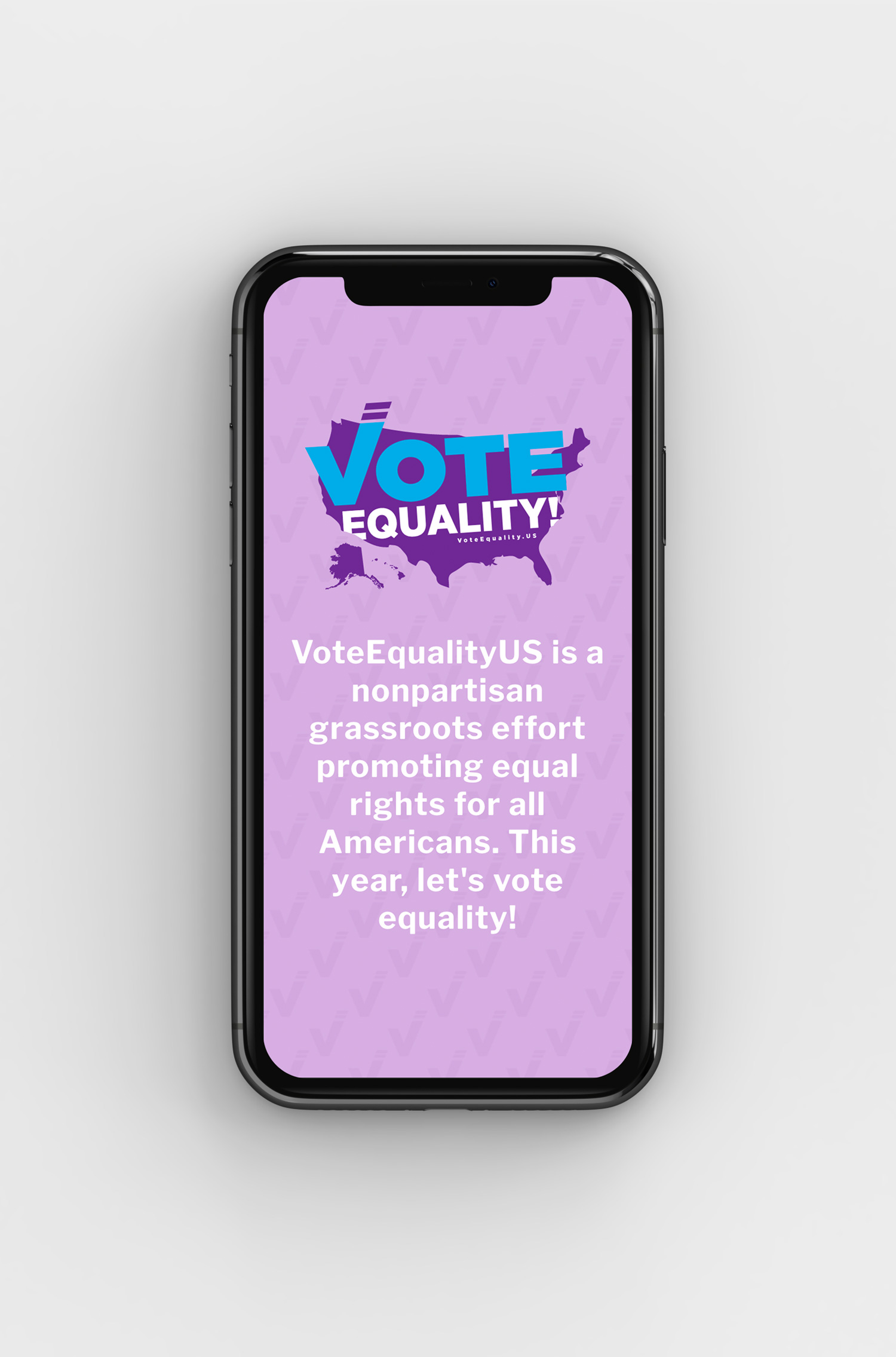 Vote Equality Website iPhone homepage